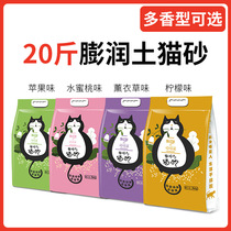 Pet cat litter bentonite cat sand blue cat beautiful short cloth cat silver gradually layer orange cat idyllic cat 10kg 20kg