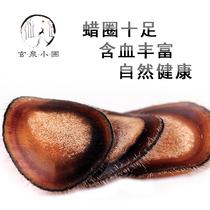 Antler Wax Slices Half Wax Slice Plum Blossom Deer Antler Slice Blood Male 10 gr Bubble Water Stew Soup Brew tonic