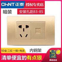 CHINT switch socket 118 type 5D champagne gold two-position two-way 10A one-plug three-hole five-hole socket Telephone socket