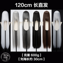 Man Qi Dian Ge Universal long straight hair 120cm pure white silver white silver gray black Brown costume anime COS Wig