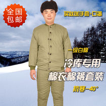 Military quilted jacket cold-proof labor insurance quilted jacket cotton coat cotton pants suit cotton clothes thickened warm cold storage special outdoor military coat