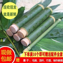 Fresh bamboo tube household piston type bamboo tube rice steam tube made bamboo tube zongzi mold stall commercial bamboo tube now made