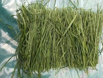 In 21 years Minxian County Gansu Province dried the first stubble of tender seedlings and roasted the northern seedlings. Long grass is suitable for pets with mouth picking.