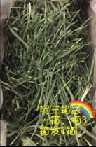 Shoot 3 boxes and send 4 boxes of roasted wheat tender seedlings tender green leaves multi-forage rabbit Chinchilla Dutch pig forage hay 1000g