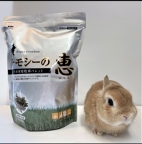 22 November Japanese Hippert Hi-pet grass strips Timothy Hye Rabbit Snacks Totoro guinea pig molars 500