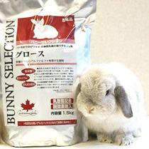 Japanese original silver steel rabbit grain under 7 months pregnant rabbit lactation high protein 1 5kg 23 June