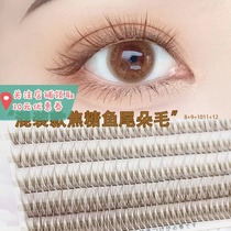 Caramel colour fish tail wool coattails brown fairy wool eyelash natural simulation sectional single cluster eye eyelash blend