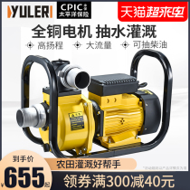 Yule Great Flow Self-Priming Pump 220v Pumping Water Pump Home Agricultural Irrigation Pump 380v High Lift Stroke Silent Pump