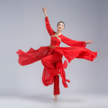 Classical dance clothes female elegant practice clothes stunning dance performance Chinese style water sleeves rhyme gauze clothes fairy Han clothes
