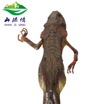 (Tmall Baozheng) Mountain Zixiqing Changbai Mountain Forest frog dried snow clam dried toad dried product 120g