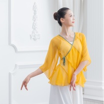 Classical dance girl adult body practice suit Elegant ancient style outside the body rhyme suit Yarn cloak National dance clothing