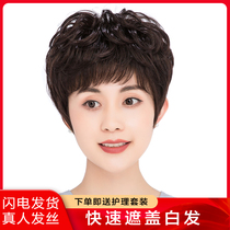 Wig short hair female curly hair full head cover mom real hair Middle-aged lady wig set natural fluffy hairstyle