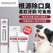 Dog tooth set cream stone Japanese KOJM halitosis dog pet Teddy edible set in addition to brushing to small