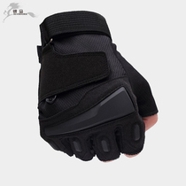 Sports half finger gloves mens autumn and winter special forces outdoor military tactical gloves fitness non-slip riding gloves