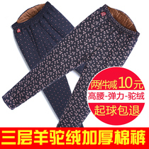 Middle-aged and elderly womens pants winter granny camel velvet warm cotton pants loose and velvet thickened mother flower pants outside