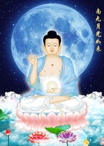 Affinity Namo Moonlight Tathagata Buddha paintings Namo Moonlight White Buddha Bodhisattva statue of Buddha portrait plastic