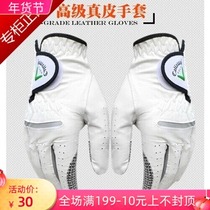 Golf gloves men's and women's lambskin golf gloves non-slip wear-resistant left and right hand leather gloves