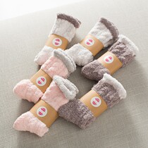 Floor Socks Female Autumn Winter Style Coral Suede Home Sleep Socks Long Socks Thickened Warm Moon Socks Midbarrel Socks