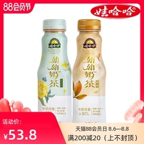 (Wahaha official)Yo Yo milk tea original Osmanthus flavor 400ml*15 bottles full box low sugar fat Wahaha
