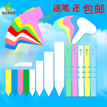 100 sheets of PVC plastic waterproof gardening T-shaped flower label label plug-in card Plant succulent orchid label plug-in card