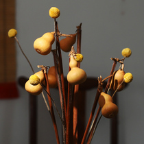 Natural auspicious gourd golden ball lucky dried flower creative new Chinese style home decoration porch branch decoration