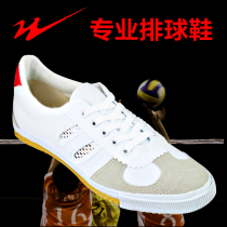 Double Star volleyball shoes mens professional five meters three training shoes non-slip morning tug-of-war competition sports shoes canvas shoes