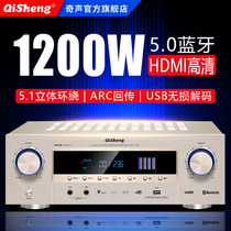 Chic AV1609 Home 5 1 Professional High power HIFI Heavy bass Bluetooth KTV Sound Karok korok machine