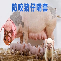 Pig mouth cover Sow bite-proof cover Pig mouth cage cover Pig mouth piglets feeding artifact Cattle sheep dogs horses and pigs special cover