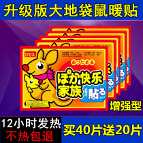 Earth kangaroo warm baby stickers spontaneous hot stickers large warm stickers 12 hours full body warm body stickers warm foot stickers
