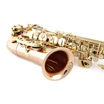 (Flagship store) black tube Post clarinet Post French Post French Post black tube Post