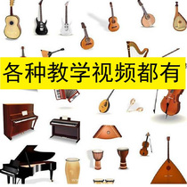 Professional flagship store 2019 self-study piano introductory video basic tutorial teaching course training examination Net class View