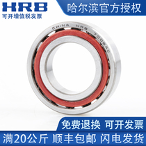 HRB Harbin angular contact ball bearing 7000 7001 7002 7003 CTA ACTA P5 P4
