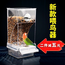 Tiger skin Xuanfeng peony parrot bird food box Anti-sprinkling and splash-proof automatic feeder for birds Transparent bird feeder feeder