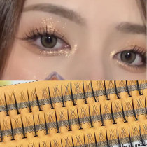 Scarecrow false eyelash sandwich fairy hair natural simulation A- type fairy nano fine graft single cluster eyelash