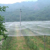 Insect net household window gauze net Mosquito and Fly agricultural greenhouse vegetable garden fruit tree poplar tree poplar tree navel orange tree pig breeding factory