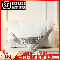 Silk quilt 100 mulberry silk cotton quilts by sub-spring autumn quilt core Four Seasons General A jacquard air conditioning is made by double thin