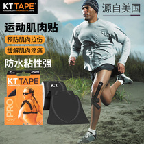  US kttape muscle patch Running sports bandage Professional muscle endogenous patch Knee ligament strain tape