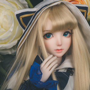 bjd doll shop