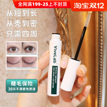 Electric eye beauty) Korean vivelab mascara hairline thick eyebrows 4 weeks obviously slender