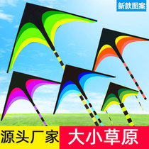 Grassland adult childrens kite wholesale long tail ribbon Yi Fei triangle Baotou reinforcement factory direct sales