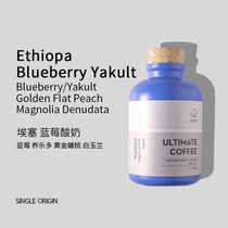 Esse Blueberry Yogurt Costa Rica Cinnamon Collodsia Bolivia Rose Summer Coffee Beans