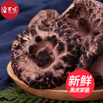 2023 Yunnan wild black tiger palm bacteria fresh tiger palm mushrooms Chuxiong black tiger palm wild tiger palm bacteria 500g