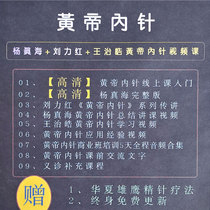 Yellow Emperor Nepin Video Course Full Episode Yang Zhen Liu Lihong Wang Zhi Emperor Inner Needle Tutorial Traditional Chinese Medicine Acupuncture