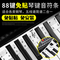 Piano keyboard sticker electric piano keyboard sticker keyboard 88 key staff