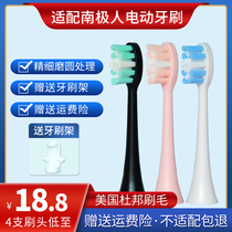 Suitable for Antarctic NJR-D1 electric toothbrush head Care White daily professional replacement universal brush head