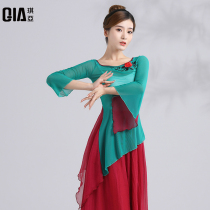 Qiya classical dance practice uniform female elegant body charm gauze clothing performance Chinese dance dance clothing net gauze performance clothing