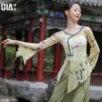 Qiya classical dance practice clothes female elegant body rhyme gauze gauze printing fairy Chinese dance dance clothes costume