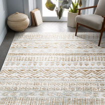 Visual taste Nordic Simple Modern American Moroccan style carpet Living room coffee table Bedroom ins wind bedside carpet
