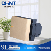 Chint type 120 series wall switch socket 9L steel frame one-open multi-control module halfway switch occupies 1 5