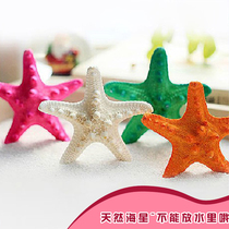 Natural little overlord starfish shell conch Mediterranean home decoration wall stickers female gift shooting props